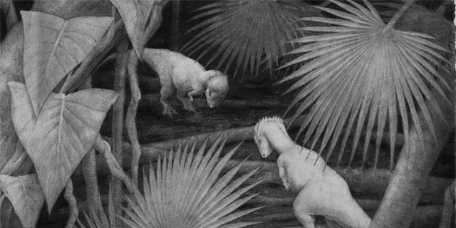 dinosaurs that butted heads