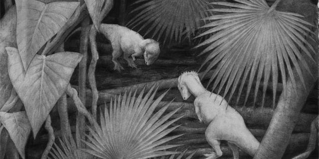 The dinosaur whose partial skull was discovered in Big Bend, Texas, likely butted heads with other dinosaurs using a lump on the top of its skull.