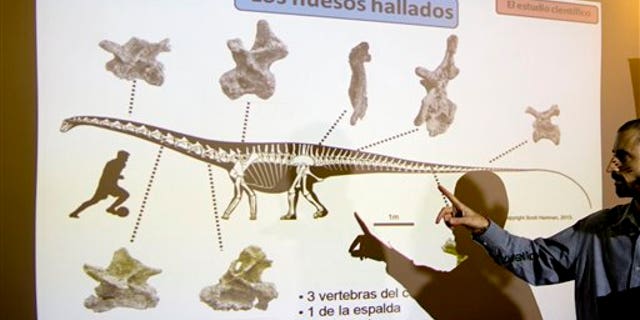Paleontologist Pablo Gallina in Buenos Aires, Argentina, Thursday, May 15, 2014.