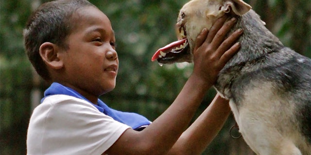 Aug. 12, 2012: In this photo provided by the University of California - Davis, a Bunggal family member plays with Kabang the dog in the Philippines.