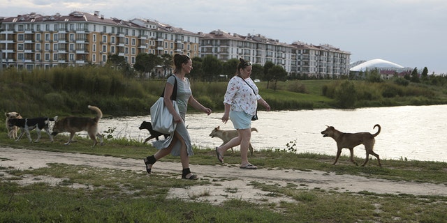 Women walk past stray dogs, with the Fisht Stadium seen in the background, in Sochi, the host city for the 2018 FIFA World Cup, Russia May 18, 2018.