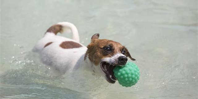 Forget the advice. Just get the ball.