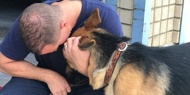 One lucky dog has found a forever home, after being rescued from the deadly California wildfires in Mendocino County.