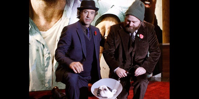 Nov. 2: Robert Downey Jr, left, Zach Galifianakis and Balu the dog arrive for the European premiere of Due Date at a central London cinema.