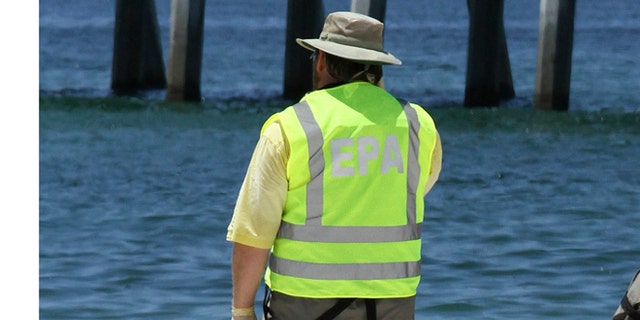 FILE: 2010: An EPA worker monitoring a beach in Pensacola, Florida.