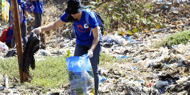 File photo. A volunteer pick up trash at Freedom Island, a marshland considered to be a sanctuary for birds, fishes and mangroves in a coastal area of Las Pinas city, south of Manila April 22, 2015, as part of their Earth Day campaign.
