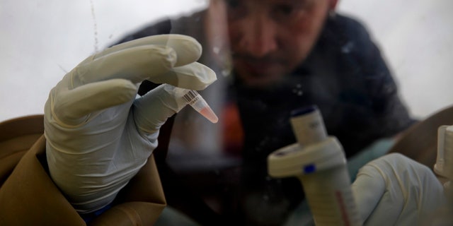 A scientist separates blood cells from plasma cells to isolate any Ebola RNA in order to test for the virus at the European Mobile Laboratory in Gueckedou April 3, 2014. (REUTERS/Misha Hussain)