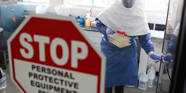 A doctor works in a laboratory on collected samples of the Ebola virus at the Centre for Disease Control in Entebbe, about 37 km (23 miles) southwest of Uganda's capital Kampala. (REUTERS/Edward Echwalu)