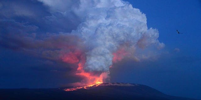 In this photo provided by Diego Paredes, guide of La Pinta Yatch Expedition, shows Wolf volcano erupting, at Isabela Island, Galapagos Islands, Ecuador, Monday, May 25, 2015. The volcano located on the northern tip of Isabela Island, erupted after 33 years of inactivity, but without jeopardizing human populations, tourism operations and fauna of this area, at the world famous Galapagos archipelago. (Diego Paredes Photo via AP) -NO SALES-