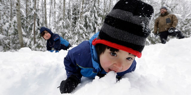 Leon Perkins, 3, leans forward to take a bite of snow as he plays with his brother Conner, left, 2, and his father Erin, Tuesday, Dec. 22, 2015, at Snoqualmie Pass, Wash. The Seattle family headed to the mountains Tuesday to enjoy the new snow that fell overnight. A weather pattern that could be associated with El Nino has turned winter upside-down across the U.S. during a week of heavy holiday travel, bringing spring-like warmth to the Northeast, a risk of tornadoes in the South and so much snow in parts of the West that there are concerns about avalanches. On Christmas Day, it could be warmer in New York City than Los Angeles.(AP Photo/Elaine Thompson)