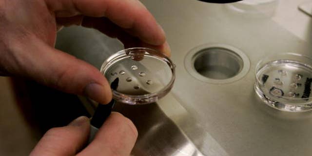 An embryologist holds a dish with human embryos at a clinic.