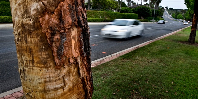 May 28, 2013: Cars drive past the scene of a Monday fiery car crash that killed five.