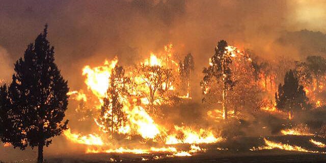 Photo released Friday, the Klamathon Fire burns in Hornbrook, California.