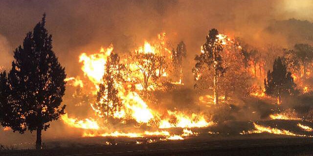 Photo released Friday, the Klamathon Fire burns in Hornbrook, California.