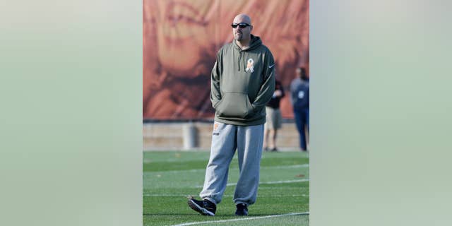 Cleveland Browns head coach Mike Pettine watches practice at the NFL football team's training camp Tuesday, Nov. 11, 2014, in Berea, Ohio. The Browns took an unexpected trip over their long weekend, into first place in the AFC North. Cleveland is alone atop the division for the first time since 1994, when starting quarterback Brian Hoyer was a 9-year-old kid dreaming of one day throwing touchdowns for his hometown team. (AP Photo/Tony Dejak)