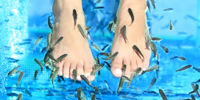A woman reportedly lost her toenails after getting a fish pedicure.