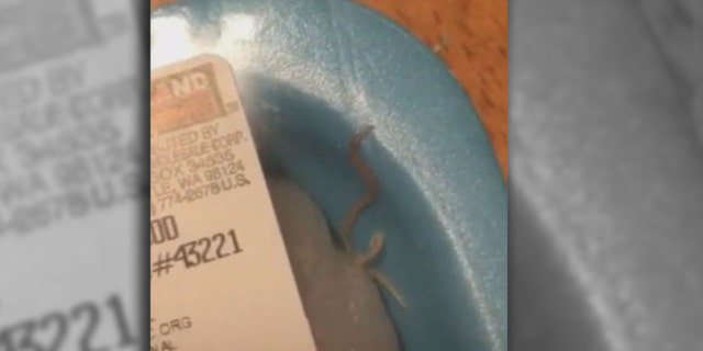 Emily Randolph claims to have found a live worm in a package of Atlantic cod she purchased from Costco two weeks ago.