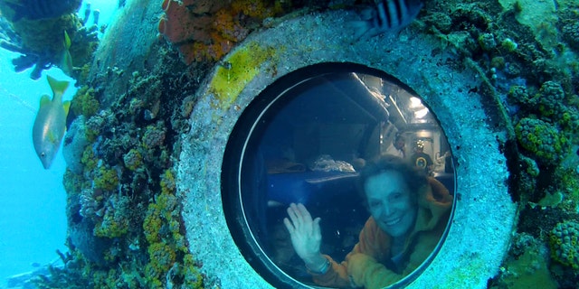 Photo released by One World One Ocean, Sylvia Earle looks out of a porthole from Aquarius, the undersea research laboratory in the Florida Keys. Aquarius is part of NOAA's National Undersea Research Program, but the budget has been cut by the federal government.