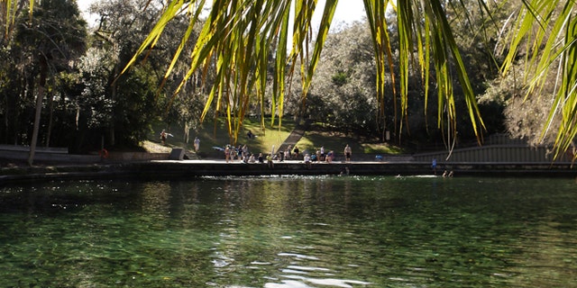 In this Monday, Dec. 30, 2013 photo, the clear waters of Wekiva Springs are seen at the Wekiva Spring State Park in Apopka, Fla. Sometime in 2014, Florida will surpass New York in population and the stateâs primary source of water from the Florida Aquifer is becoming smaller due to the growth in population. (AP Photo/John Raoux)