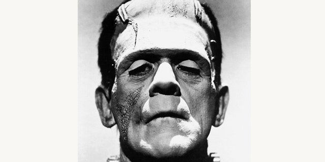 A photo of Boris Karloff from the film "The Bride of Frankenstein" as Frankenstein's monster.