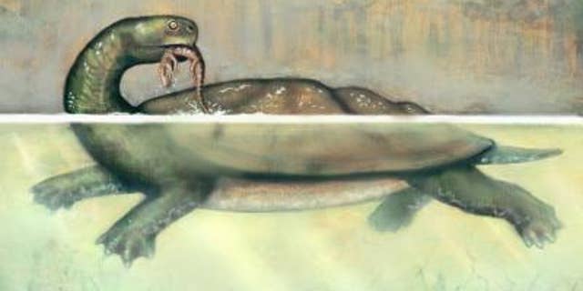 This is a reconstruction of Carbonemys preying upon a small crocodylomorph.