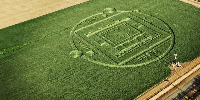 January 6, 2014: This photo provided by NVIDIA shows a 310-foot “crop circle” in a barley field Chualar, Calif., that contains a stylized image of a computer chip and the number “192” in Braille. The company announced the Tegra K1, a new chip for tablets and smartphones that contains 192 computing “cores,” or mini-computers, for graphics applications. (AP Photo/NVIDIA)