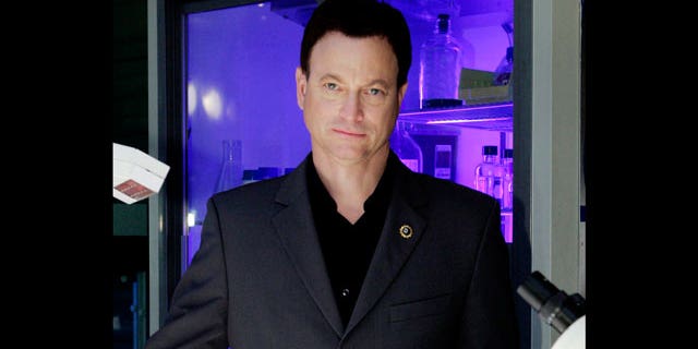 Gary Sinise (AP)