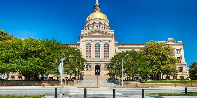 A veteran who set himself on fire last week outside of the Georgia State Capitol in protest of the U.S. Department of Veterans Affairs has died, officials said.