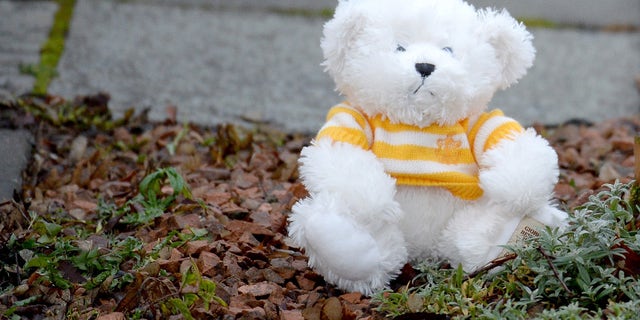 KIRKCALDY, SCOTLAND - JANUARY 18:  A teddy bear is left outside a bungalow in Dunvegan Acenue in Kirkcaldy where a young boy's body believed to be Mikaeel Kular, 3, was found last night on January 18, 2014 in Kircaldy, Scotland. Mikaeel was reported missing from his home in Edinburgh on January 15. His mother Rosdeep has been detained by police.  (Photo by Jeff J Mitchell/Getty Images)