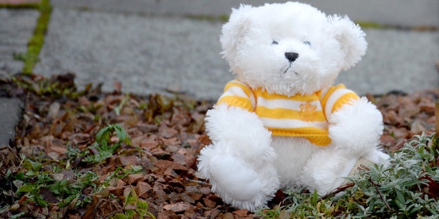 KIRKCALDY, SCOTLAND - JANUARY 18: A teddy bear is left outside a bungalow in Dunvegan Acenue in Kirkcaldy where a young boy's body believed to be Mikaeel Kular, 3, was found last night on January 18, 2014 in Kircaldy, Scotland. Mikaeel was reported missing from his home in Edinburgh on January 15. His mother Rosdeep has been detained by police. (Photo by Jeff J Mitchell/Getty Images)