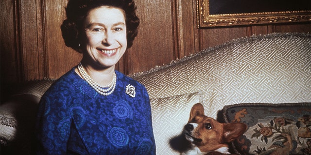 Queen Elizabeth II and one of her beloved corgis from over the years.