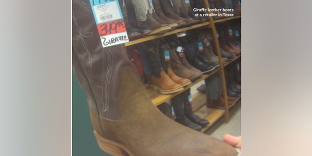 Pictured are giraffe leather boots sold at a retail store in Texas, according to Humane Society International.