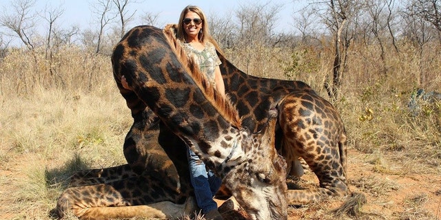Tess Thompson Talley unleashed a firestorm on this photo of a giraffe that she hunted in 2017. She told CBS on Friday that the hunt was specifically meant for conservation efforts. 