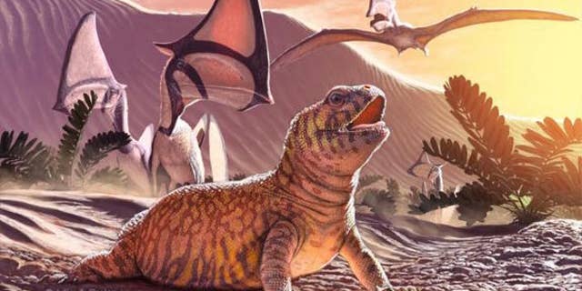 The newfound lizard species Gueragama sulamerica was found at a site in Brazil known for its pterosaurs fossils