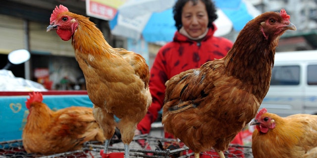 A vendor waits for customers near chicken cages at a market in Fuyang city, in central China's Anhui province. Two Shanghai men have died from a lesser-known type of bird flu in the first known human deaths from the strain.
