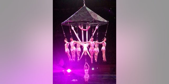 In this photo provided by Frank Caprio, performers hang during an aerial hair-hanging stunt at the Ringling Brothers and Barnum and Bailey Circus, Friday, May 2, 2014, in Providence, R.I. A platform collapsed during an aerial hair-hanging stunt at the 11 a.m. performance Sunday, May 4, sending eight acrobats plummeting to the ground. At least nine performers were seriously injured in the fall, including a dancer below, while an unknown number of others suffered minor injuries. (AP Photo/Frank Caprio) MANDATORY CREDIT