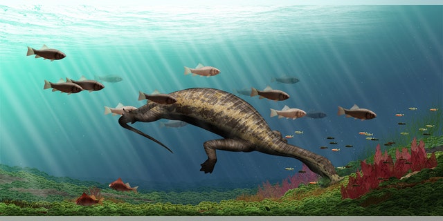 Fearsome dinosaur-age 'hammerhead' reptile ate ⦠plants? | Fox News