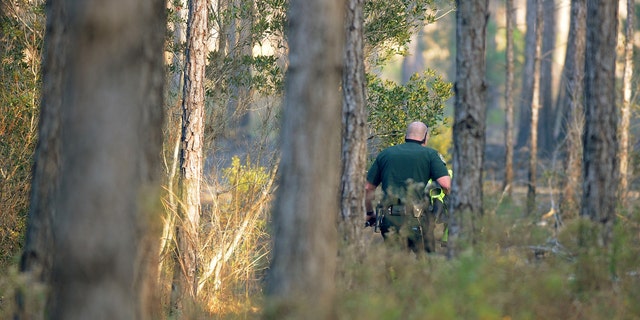 A Clay County Sheriff's deputy walks by smoldering brush on his way to wreckage from a helicopter crash in an area west of Green Cove Springs, Fla. Monday afternoon, Dec. 26, 2011. The helicopter was enroute to Gainesville from Mayo Clinic in Jacksonville to receive a heart for a transplant when it crashed. The three people who were in the helicopter died at the scene. (AP Photo/The Florida Times-Union, Kelly Jordan)