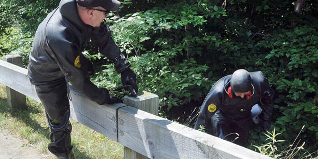 June 24, 2013: Law enforcement officers wearing wetsuits emerge from bushes during a search for evidence along a road near the home of New England Patriot's NFL football player Aaron Hernandez in North Attleborough, Mass.