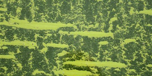 Green Bay Dead Zone