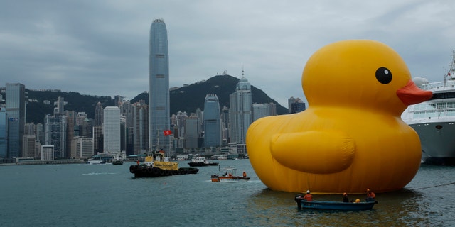 May 2, 2013: A giant Rubber Duck created by Dutch artist Florentijn Hofman is towed along Hong Kong's Victoria Habour.