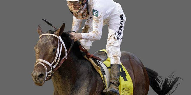 Calvin Borel rides Super Saver to a victory during the 2010 Kentucky Derby/AP Photo