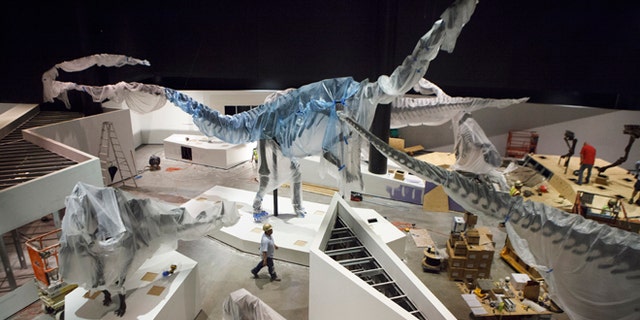 May 15, 2012: Construction workers finish the new Hall of Paleontology at the Houston Museum of Natural Science. The $85 million wing of the museum will have the only Triceratops skin found to date and a unique T-rex fossil with complete hands. The exhibit that opens June 2.