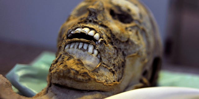 One of the 265 mummies resting in cardboard boxes in the Hungarian Natural History Museum in Budapest, Hungary. (AP Photo/Bela Szandelszky)