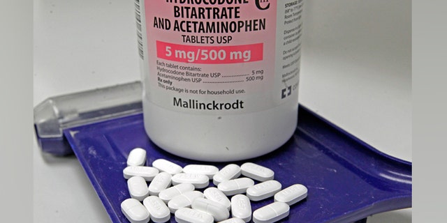Hydrocodone bitartrate and acetaminophen pills, also known as Vicodin, are arranged for a photo at a pharmacy in Montpelier, Vt.