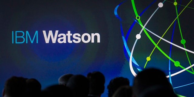 File photo - Attendees gather at an IBM Watson event in lower Manhattan, New York Jan. 9, 2014.