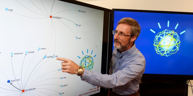 Jon Simon/Feature Photo Service for IBM