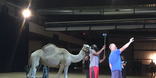 James Harden takes a selfie with a camel at Foot Locker's "Play My Tweet" event