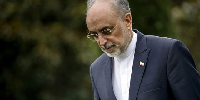 The Head of the Iranian Atomic Energy Organization Ali Akbar Salehi walks through a garden at the Beau Rivage Palace Hotel during an extended round of talks on Iran;s nuclear program, in Lausanne, Switzerland, Thursday April 2, 2015. (AP Photo/Brendan Smialowski, Pool)