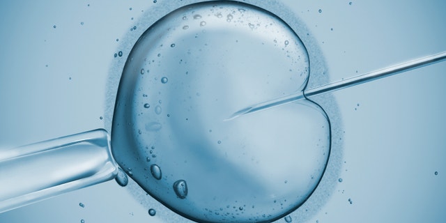 d78797d5-